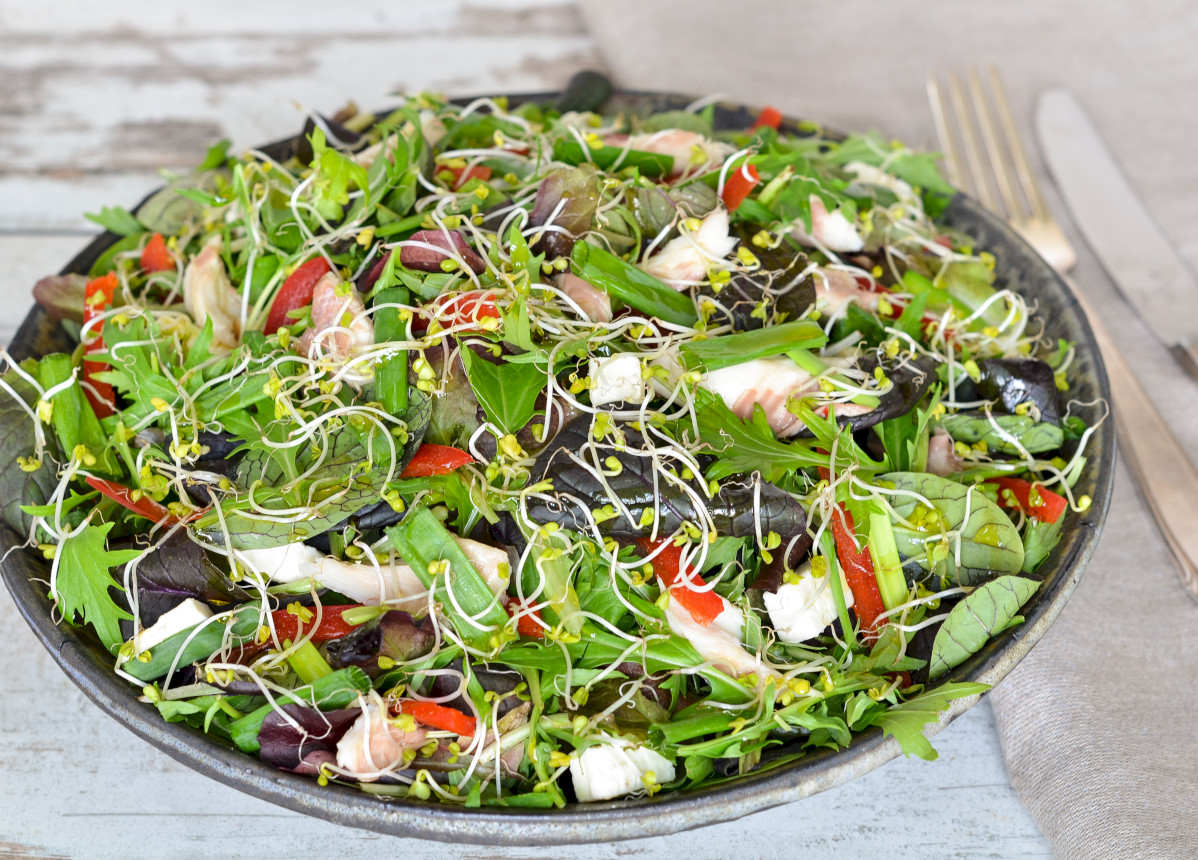 Trout and tofu salad
